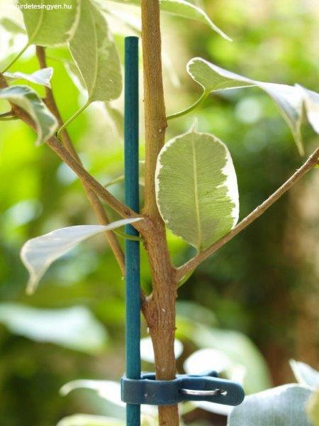 Festett bambuszpálca cserepes növényekhez 25db/csomag - zöld, 60cm