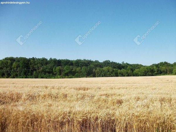 Eladó általános mezőgazdasági övezetben található szántó, legelő. -
Székesfehérvár