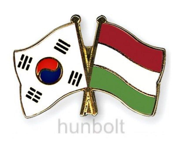 Kitűző, páros zászló Magyar-Dél-Korea jelvény 26x15 mm