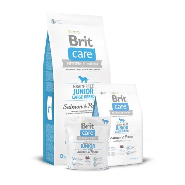 Brit Care Grain-Free Junior Large Breed Salmon & Potato 12 kg