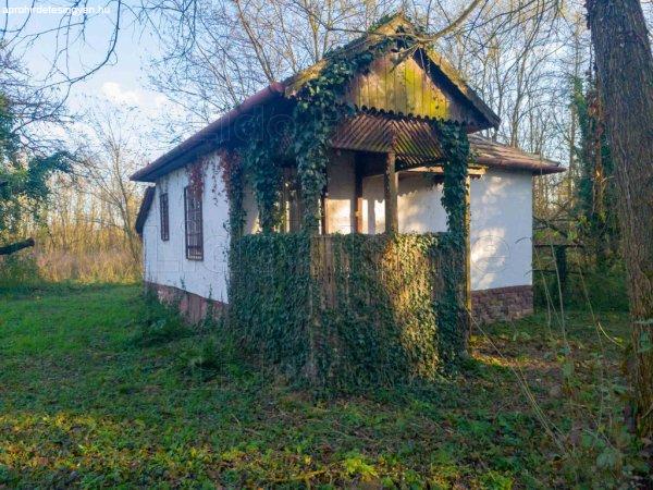 Bárdudvarnok külterületén, természetközeli hétvégi ház eladó