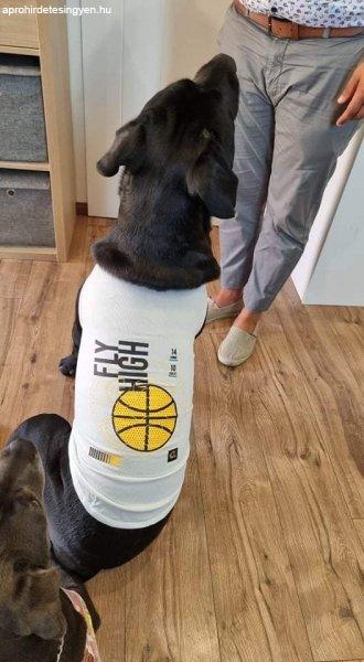 Kutyaruha - Fly High Feliratos, kosárlabdás mintával, cuki trikó -
tökéletes nagy kutyáknak