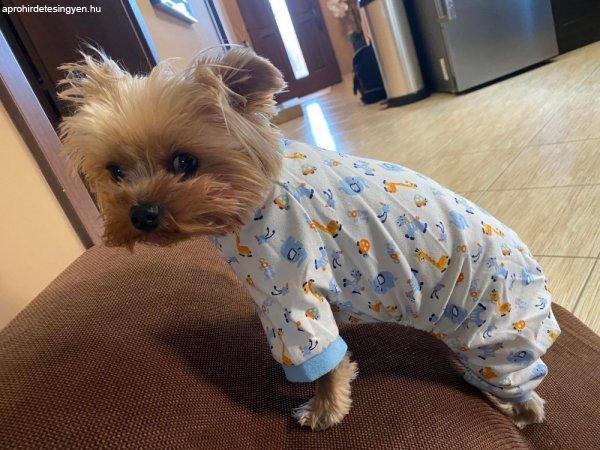 Kutyaruha - Overál - overall - egyberészes Maximálisan kényelmes otthoni
játszósnak, pizsamának. 