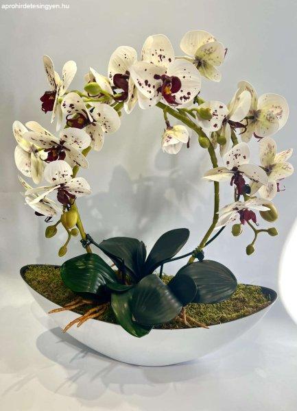 Csónak kaspós orchidea dekor hajlított extra fehér alapon bordó pöttyös