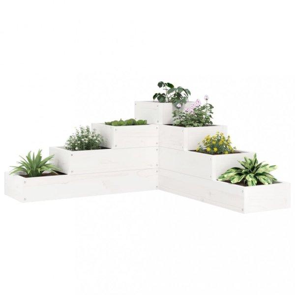Fehér 4 szintes tömör fenyőfa kerti virágtartó 80,5x79x36 cm