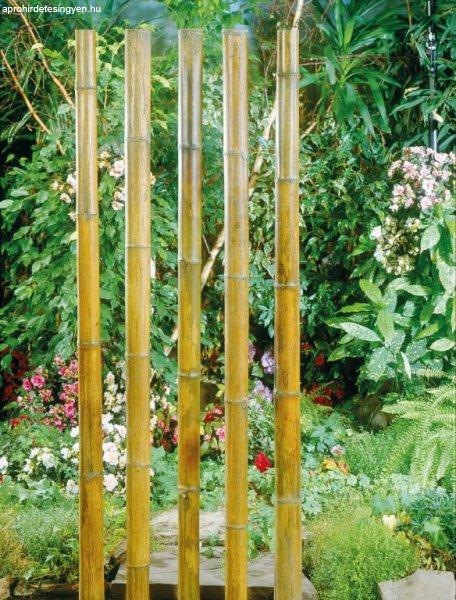 Bambusz növénytámasz natúr 50cm átm.4-4,5mm
