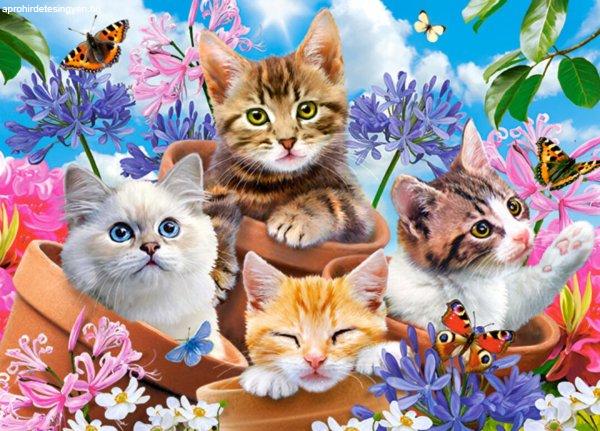 CASTORLAND Puzzle 120db cicák virágokkal
