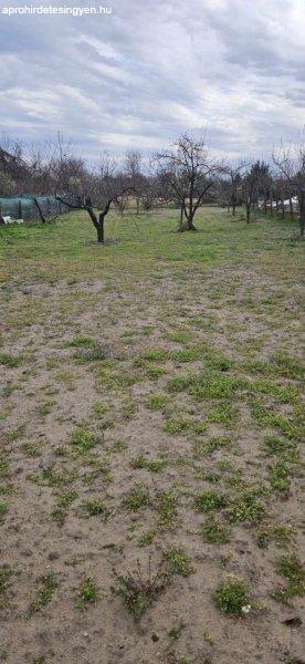 Debrecen%2C+Lencztelep+sz%E9l%E9n+1456+m2+telken+elad%F3