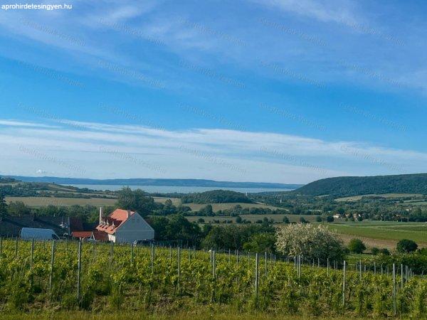 Elad%F3+telek+Szentjakabf%E1n+-+Szentjakabfa
